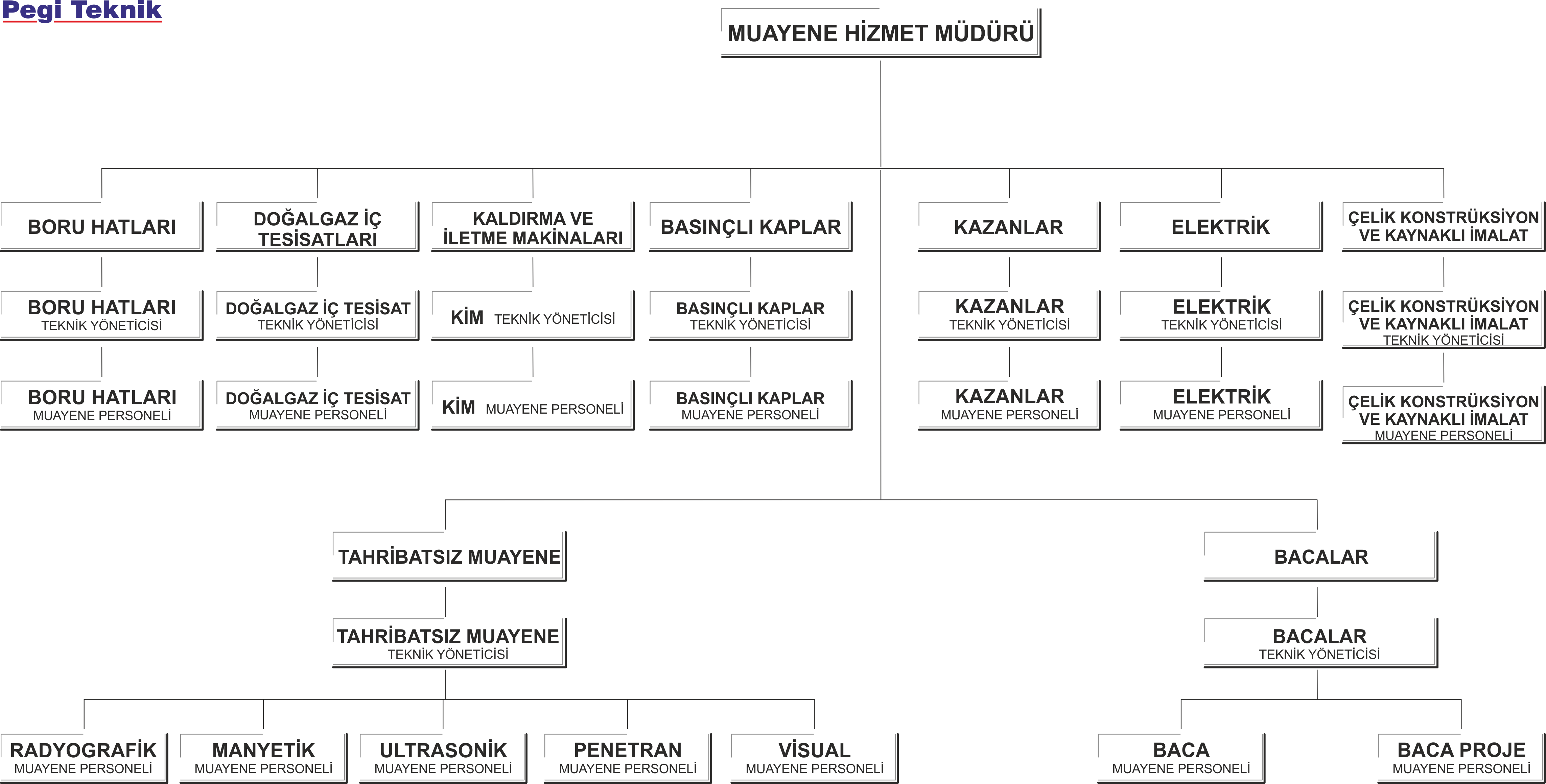 Pegi Teknik Muayene Hizmet Müdürü Şeması