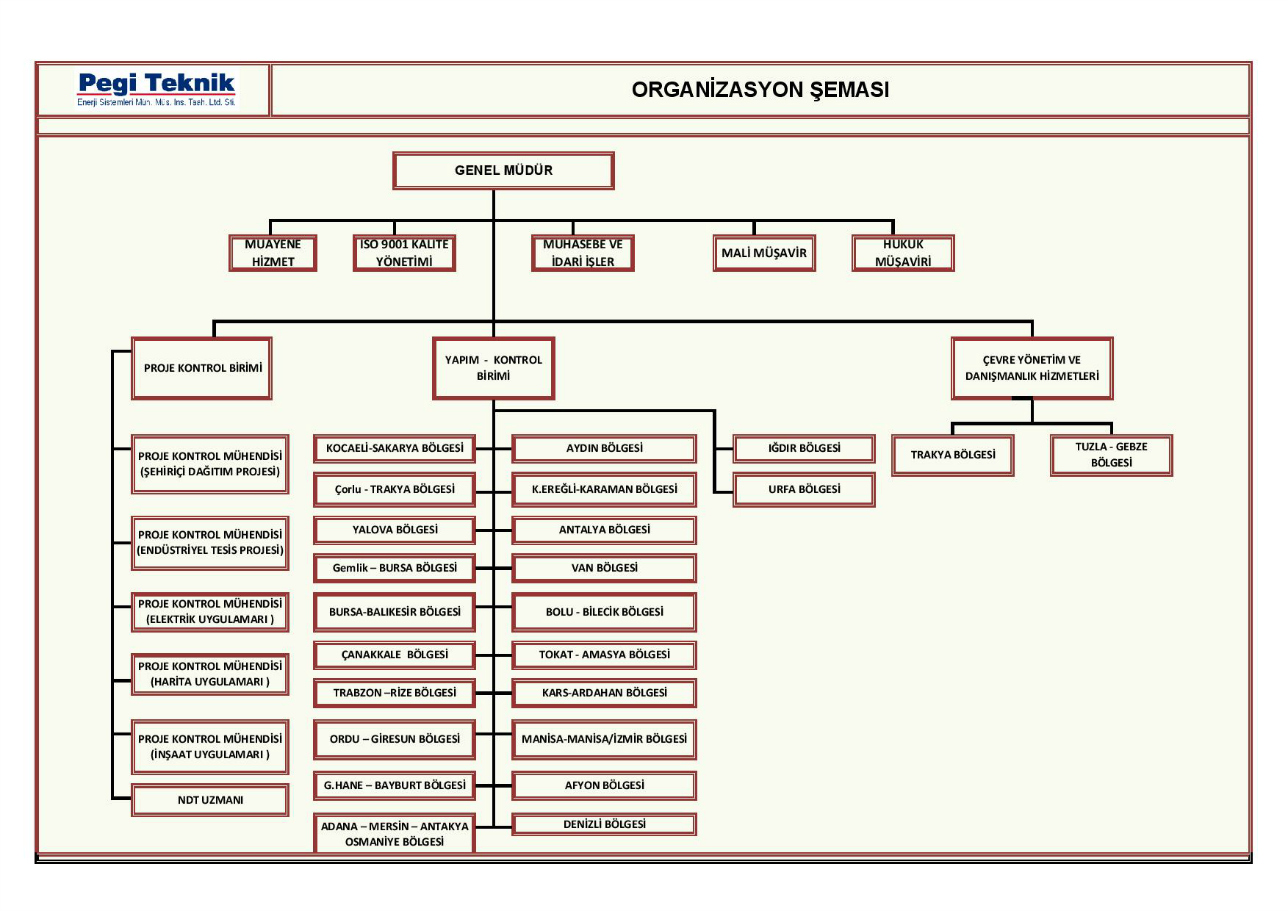 Pegi Teknik Organizasyon Şeması
